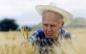 NormanBorlaug-300x191 NormanBorlaug