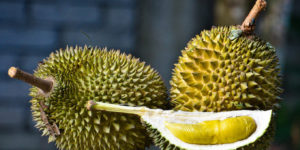 o-DURIAN-facebook-300x150 o-DURIAN-facebook