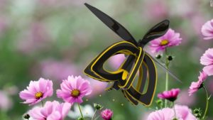 170210104813-bee-drone-780x439-300x169 170210104813-bee-drone-780x439