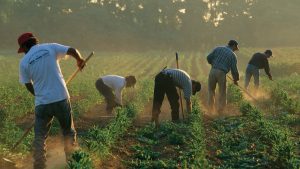 SPLC-immigrant-justice-alt02-1280x720-300x169 SPLC-immigrant-justice-alt02-1280x720