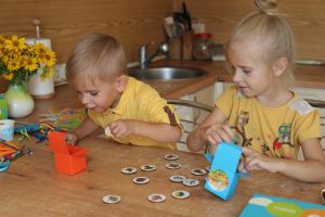 img_0009-300x200 img_0009