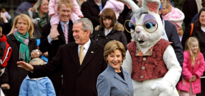 rabbit-300x140 rabbit