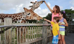 100838_10813_full-300x179 100838_10813_full