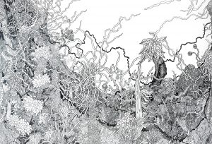 115-300x204 115