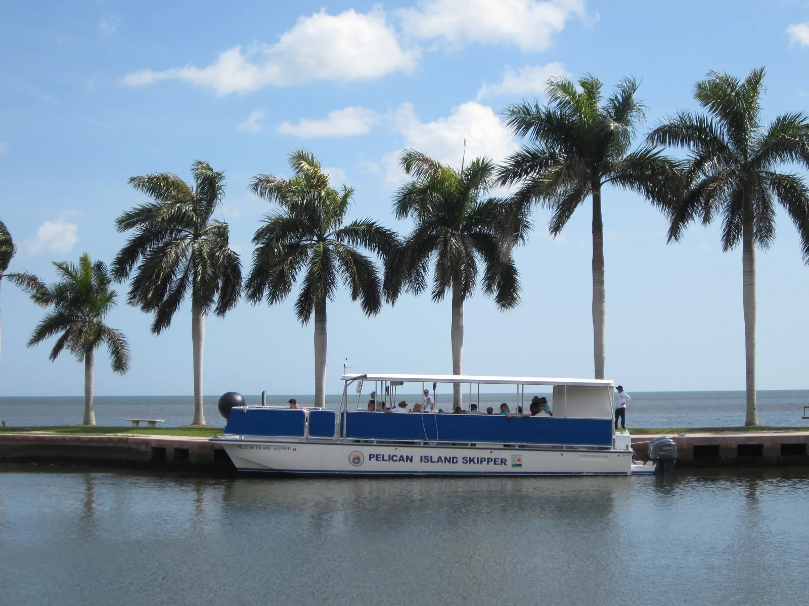 Прогулочный катер Pelican Island Skipper возле берега с пальмами.