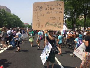 IMG_7510__1_-300x225 IMG_7510__1_