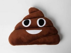 poo-300x226 poo