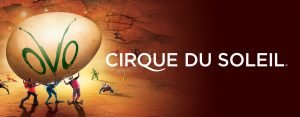 12.28.16-cirque-v1-1280x500-d38f95c0f9-300x117 12.28.16-cirque-v1-1280x500-d38f95c0f9