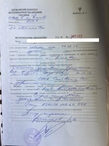 IMG_2249-225x300 Свидетельство на выезд заграницу