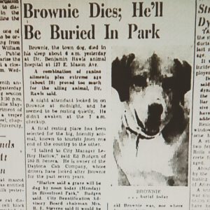 brownie-obit-300x300 brownie-obit