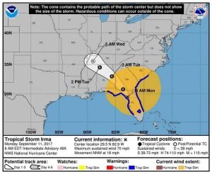 irma-8am-300x246 irma-8am
