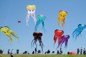 Berkeley-Kite-Festival-California-300x200 Berkeley-Kite-Festival-California