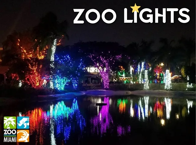 Светящиеся праздничными огнями деревья у воды с надписью Zoo Lights.