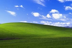 Bliss.1497349801-300x200 Bliss.1497349801