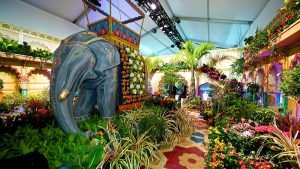 2017-Macy-s-Flower-Show-300x169 2017-Macy’s-Flower-Show