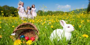 n-KIDS-EASTER-EGG-HUNT-628x314-300x150 n-KIDS-EASTER-EGG-HUNT-628x314