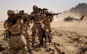 Navy-Seals-768x484-300x189 Navy-Seals-768x484