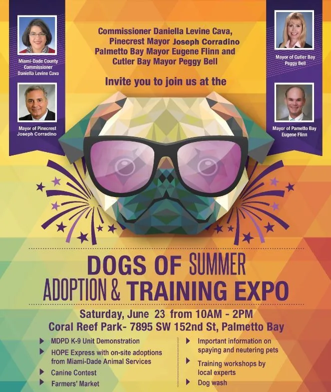 Афиша мероприятия Dogs of Summer Expo с рисунком мопса в солнцезащитных очках