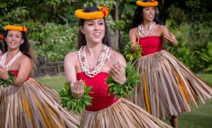 NIC_8515-Hula-01-1-e1528375582392-300x181 NIC_8515-Hula 01