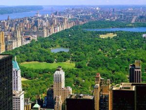 NYcentral-park-300x225 NYcentral-park
