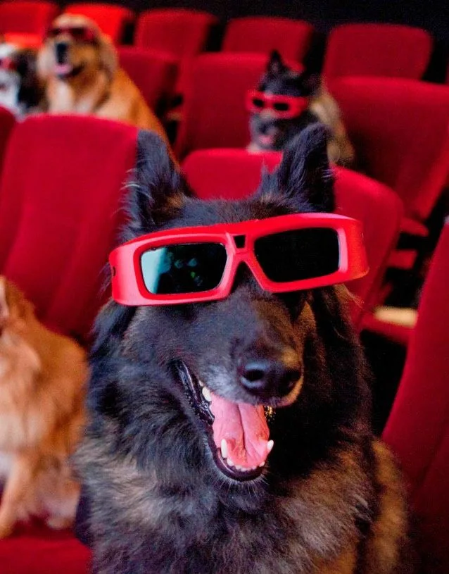 Собаки в 3D-очках смотрят фильм в креслах кинотеатра.