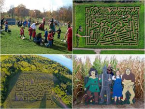 corn-maze-titlejpg-8ee95c63a4e92616-300x225 corn-maze-titlejpg-8ee95c63a4e92616