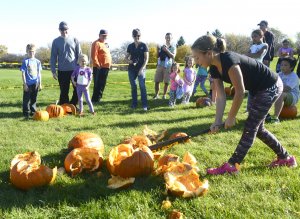 ct-lns-mundelein-pumpkin-drop-st-1107-20161106-300x219 ct-lns-mundelein-pumpkin-drop-st-1107-20161106