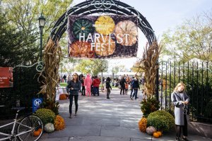 harvestfest1-300x200 harvestfest1