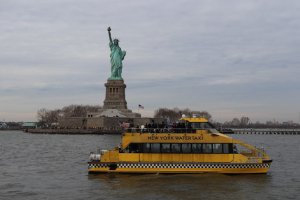 IMG_1258-300x200 IMG_1258