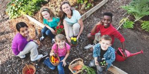 blog-student-garden-300x150 blog-student-garden