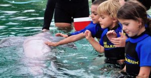 miami-seaquarium-winter-camp-programs-2016-300x156 miami-seaquarium-winter-camp-programs-2016