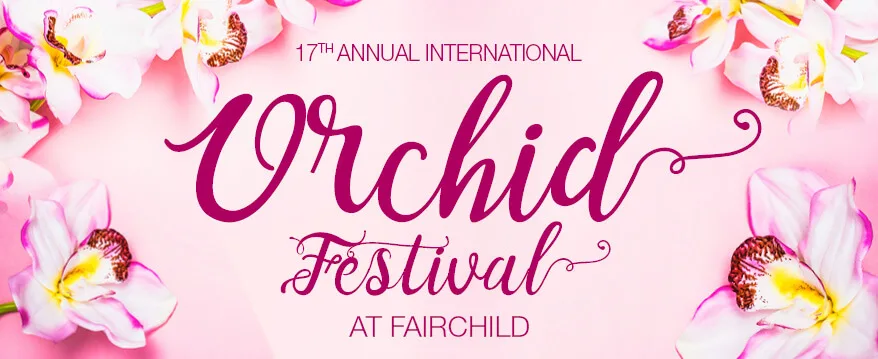 Афиша 17-го фестиваля орхидей в Fairchild с нежно-розовыми цветами по краям.
