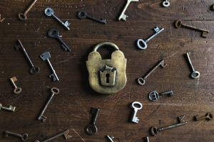SeaechFreeStockPhotos-300x200 SeaechFreeStockPhotos