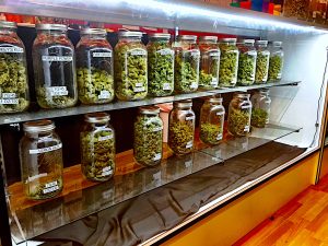 IMG_451593937-3-300x225 IMG_451593937-3