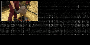 Screen_Shot_2020_08_28_at_7.19.18_PM-300x152 Screen_Shot_2020_08_28_at_7.19.18_PM