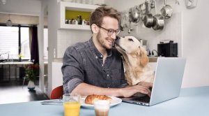 work-from-home-e1597002506929-300x166 work-from-home