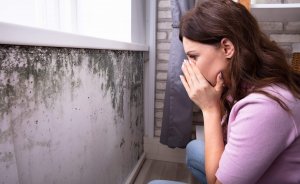 Florida-Tenants-Right-To-Withhold-Rent-When-Finding-Mold-In-Apartment-scaled-e1603050184343-300x184 Florida-Tenants-Right-To-Withhold-Rent-When-Finding-Mold-In-Apartment-scaled