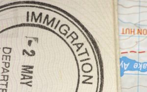 legal-Beagle-300x188 Passport stamps
