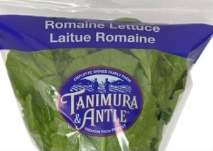 Lettuce-recall-e1605123631825-300x213 Lettuce-recall