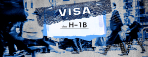 Bloomberg-Law-300x116 Bloomberg Law