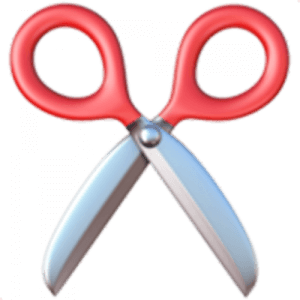 black-scissors-2702-1560467862-300x300 black-scissors-2702-1560467862