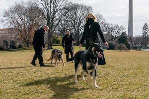 image-1-300x200 Joe Biden presidency, Washington DC, USA - 2021