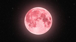 Pink20supermoon20on20night20sky20-20Getty-300x169 Pinksupermoononnightsky-Getty