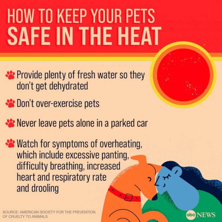 HeatStroke-Pets_v05_AG_1655756089425_hpEmbed_1x1_992-768x768 18 штатам предстоит рекордная жара и разрушительные штормы. Как это пережить