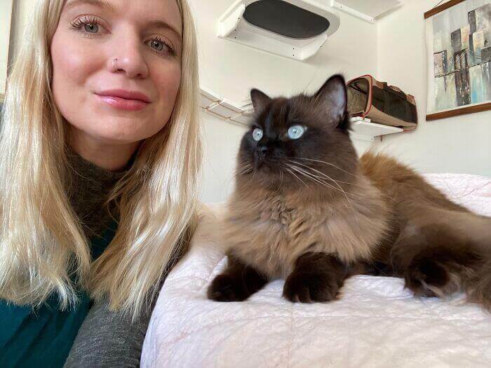 Meet-Madolline-the-woman-who-travels-the-world-by-exchanging-Cat-Sitting-for-free-hosting-62aa5fa6dc371__700 Туристку депортировали из-за ухода за чужими кошками