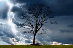 tree-and-storm-2-300x199 tree-and-storm-2