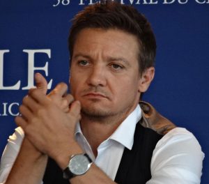 Renner2-300x264 Renner2
