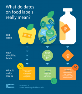 date_labels_infograph-262x300 date_labels_infograph