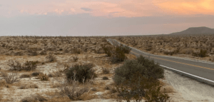 smugglersland-300x143 smugglersland