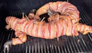 aligator-300x173 аллигатор